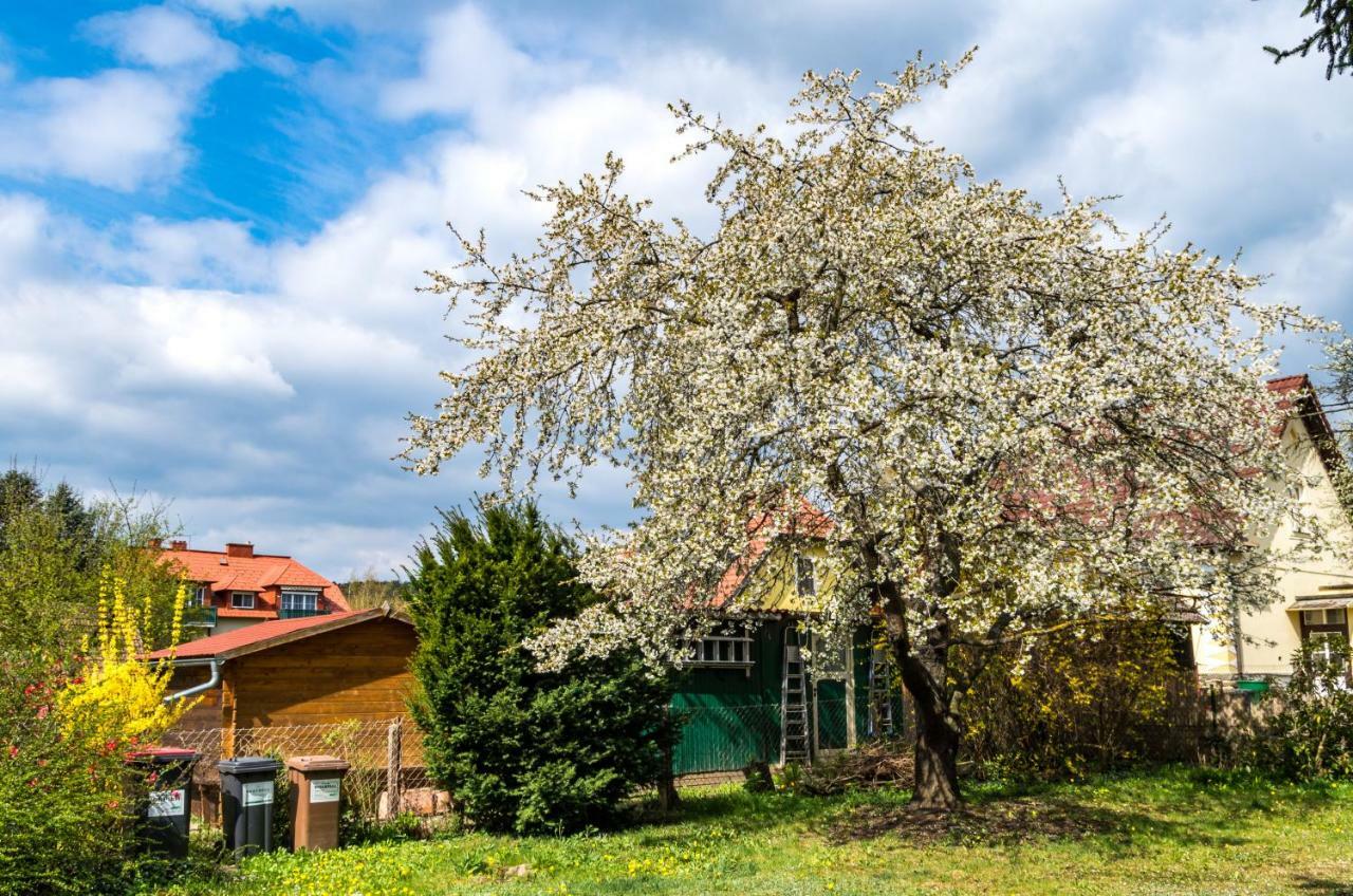 Gemuetliches, Heimeliges Ferienhaus Gars am Kamp Εξωτερικό φωτογραφία